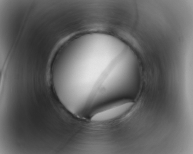 X0000092081172200709262059