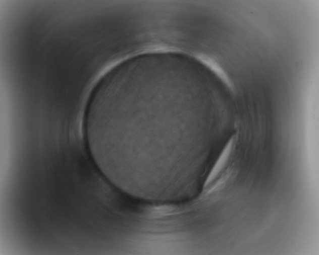 X0000092081173200709262059