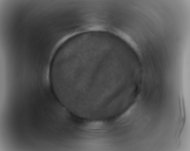 X0000092081174200709262059