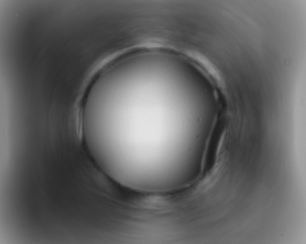 X0000092081175200709262059