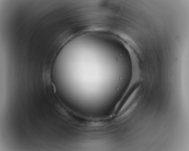 X0000092081177200709262059