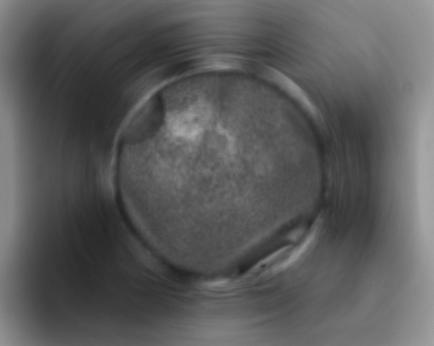 X0000092081178200709262059