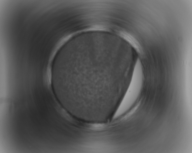 X0000092081180200709262058