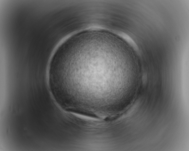 X0000092081183200709262058
