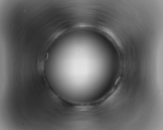 X0000092081185200709262058