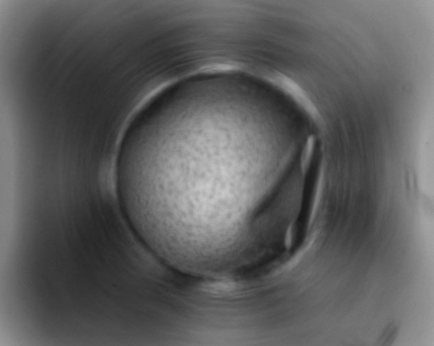 X0000092081186200709262058