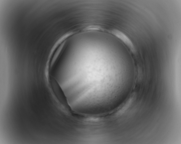 X0000092081190200709262058