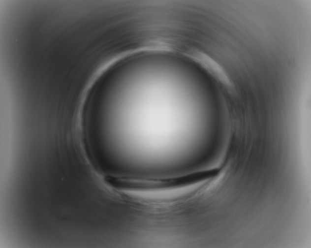 X0000092081192200709262058