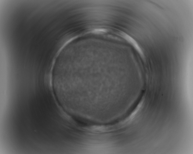 X0000092081194200709262058