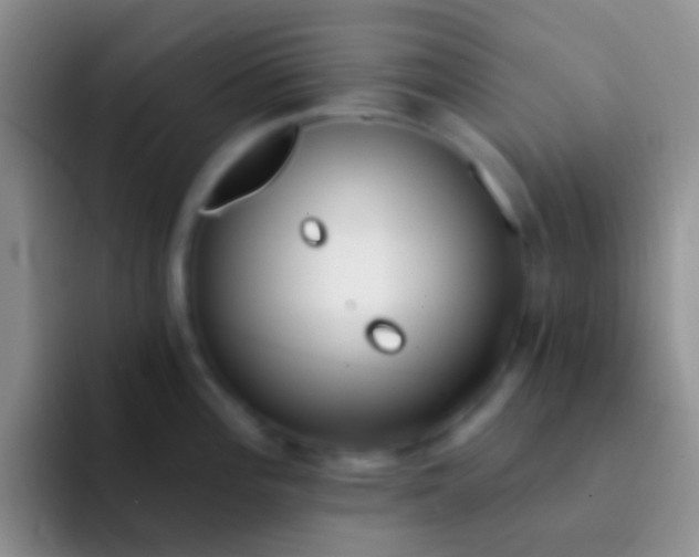 X0000092081196200709262058