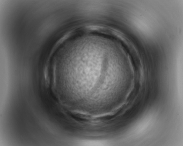 X0000092081198200709262058
