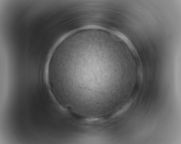 X0000092081199200709262058