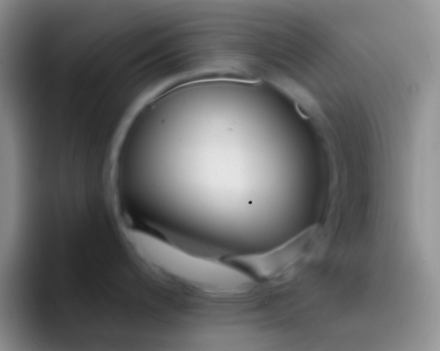 X0000092081200200709262058