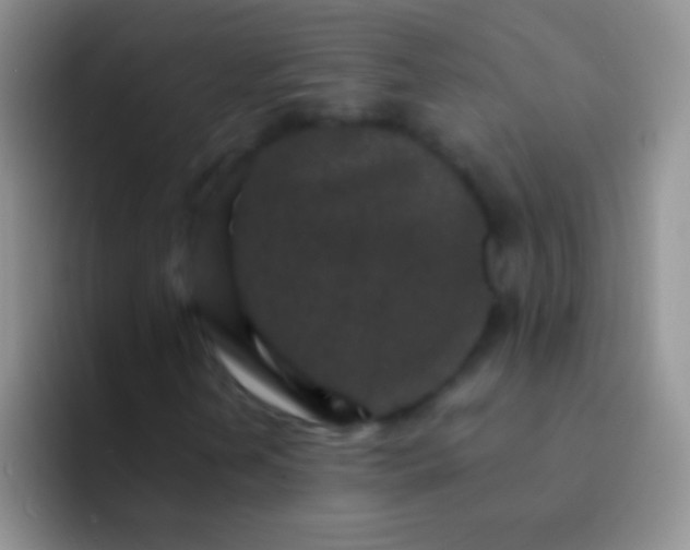 X0000092081202200709262058