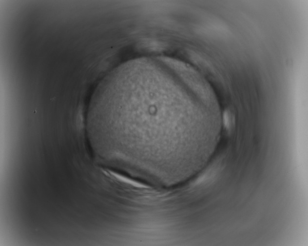 X0000092081203200709262058