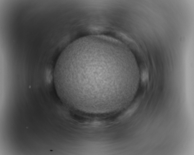 X0000092081204200709262058
