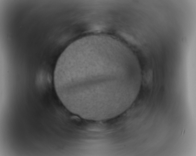 X0000092081206200709262058