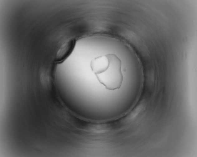 X0000092081210200709262058