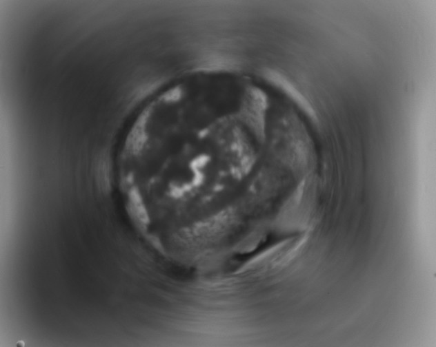 X0000092081213200709262058