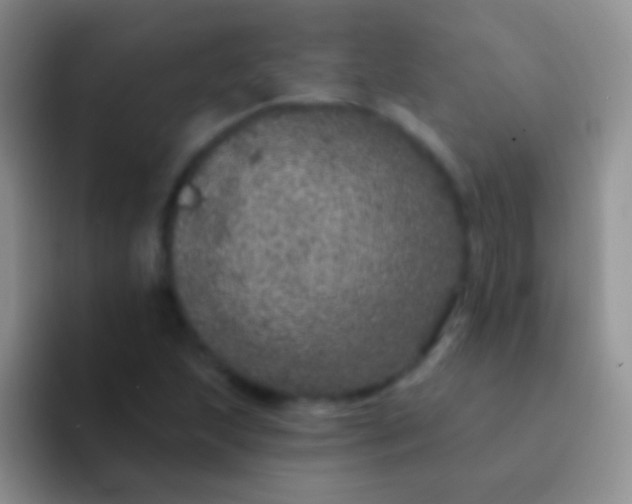 X0000092081215200709262058