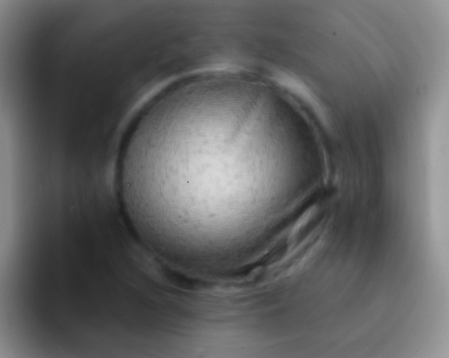 X0000092081216200709262058