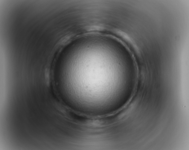 X0000092081217200709262058