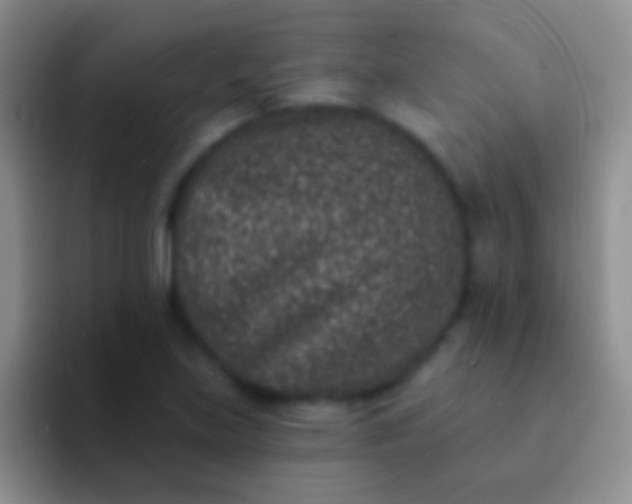 X0000092081219200709262058