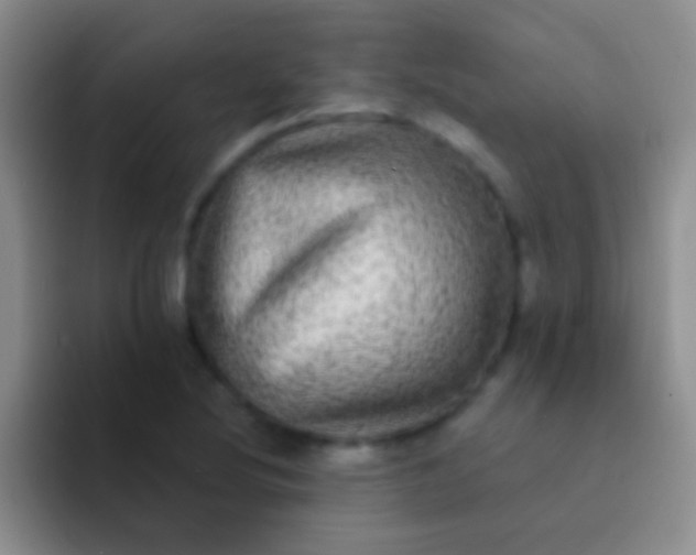 X0000092081220200709262058