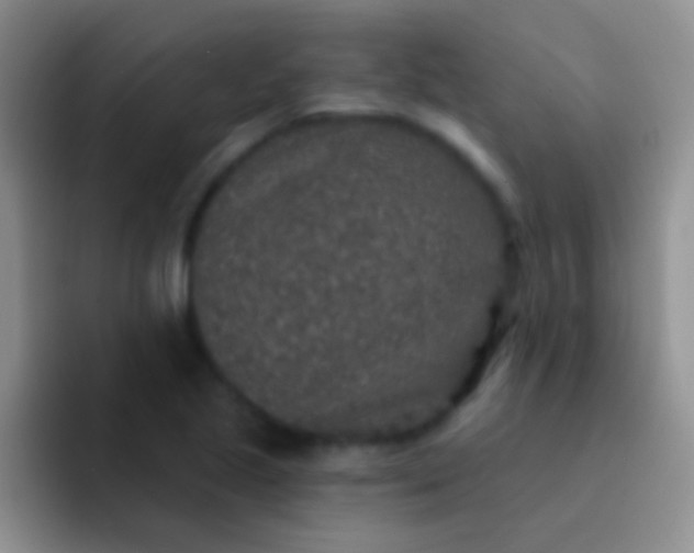 X0000092081221200709262058