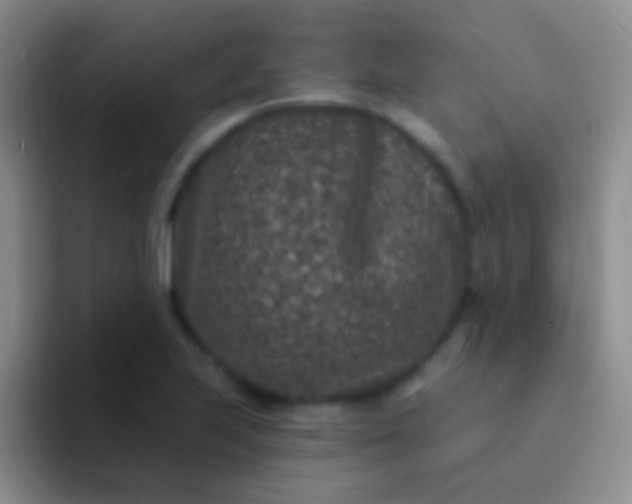 X0000092081223200709262058