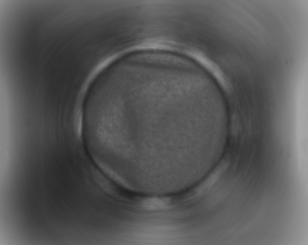 X0000092081224200709262058