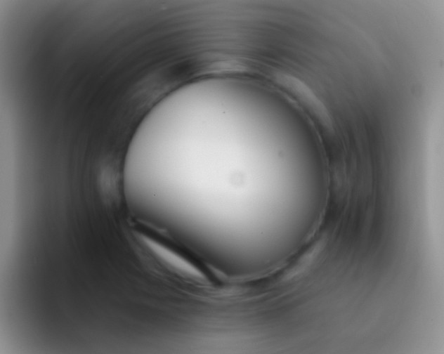 X0000092081225200709262058