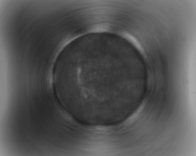 X0000092081226200709262058