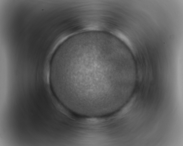 X0000092081227200709262058