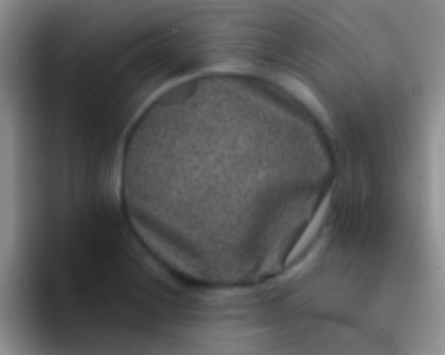 X0000092081228200709262058