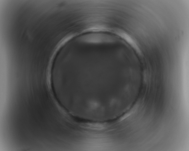 X0000092081229200709262058