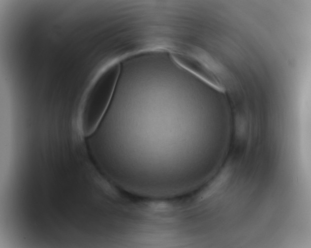X0000092081230200709262058