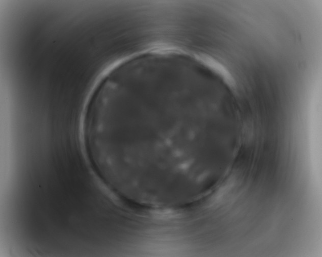 X0000092081231200709262058