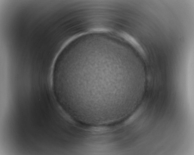 X0000092081236200709262058