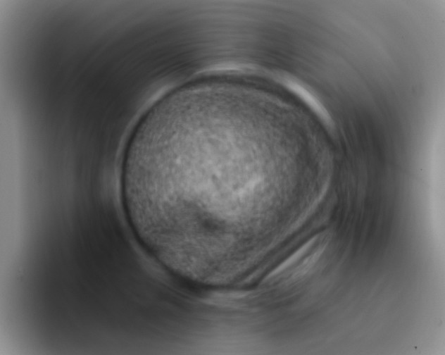 X0000092081237200709262058