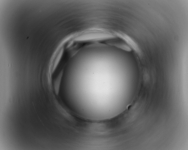 X0000092081238200709262058