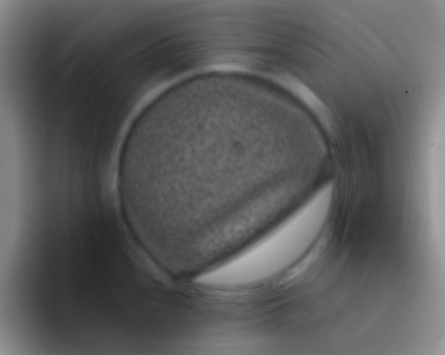 X0000092081240200709262058