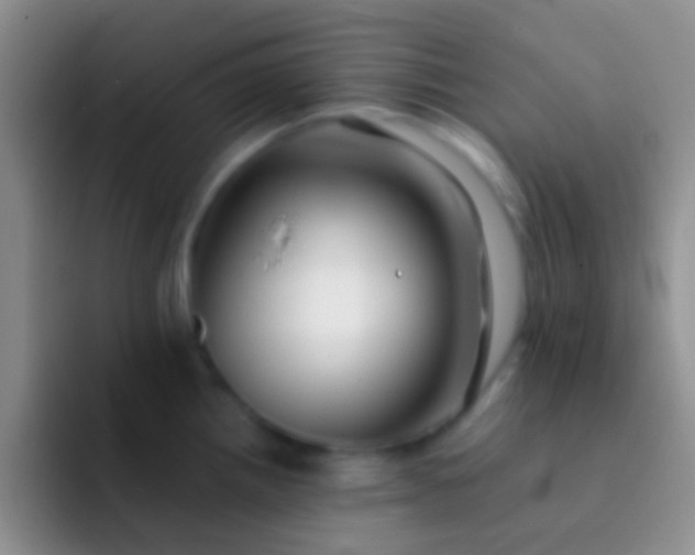 X0000092081242200709262058