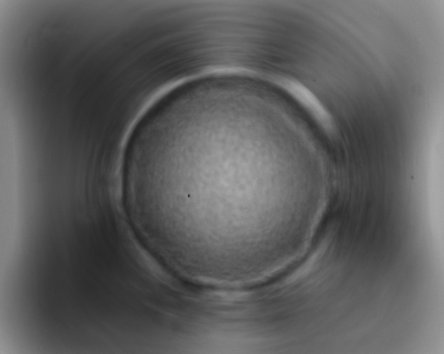 X0000092081244200709262058