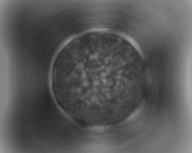 X0000092081245200709262058