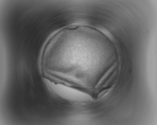 X0000092081248200709262058