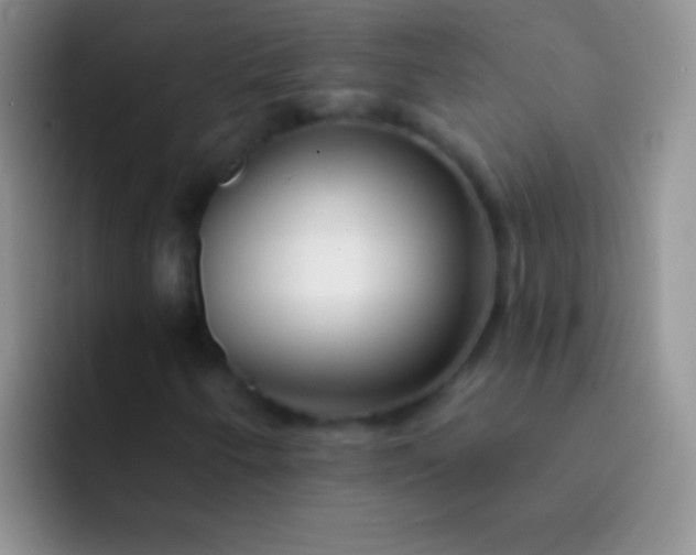 X0000092081250200709262058