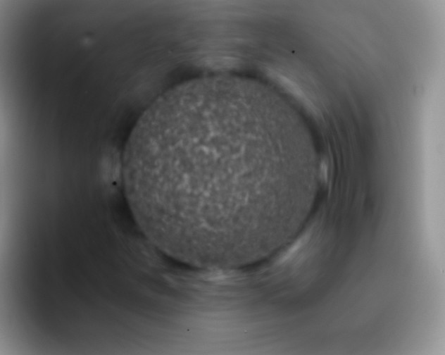 X0000092081251200709262058