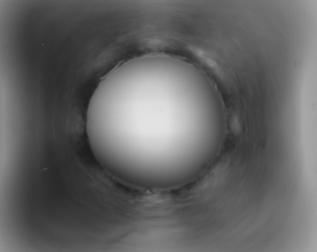 X0000092081253200709262058