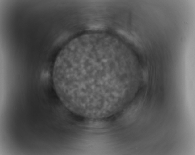 X0000092081254200709262058